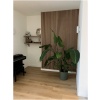 Akupanel XL Naturel Eiken 290 x 52 cm